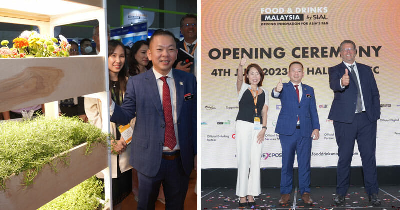 AAA template Recovered