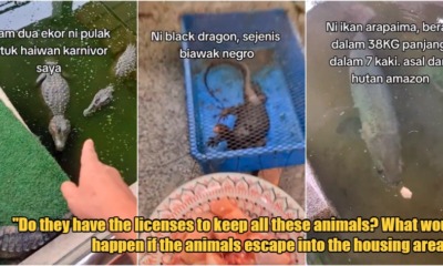 My Post 1 2023 07 06T150021.095