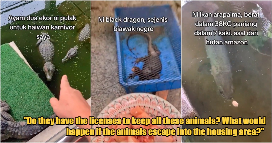 My Post 1 2023 07 06T150021.095