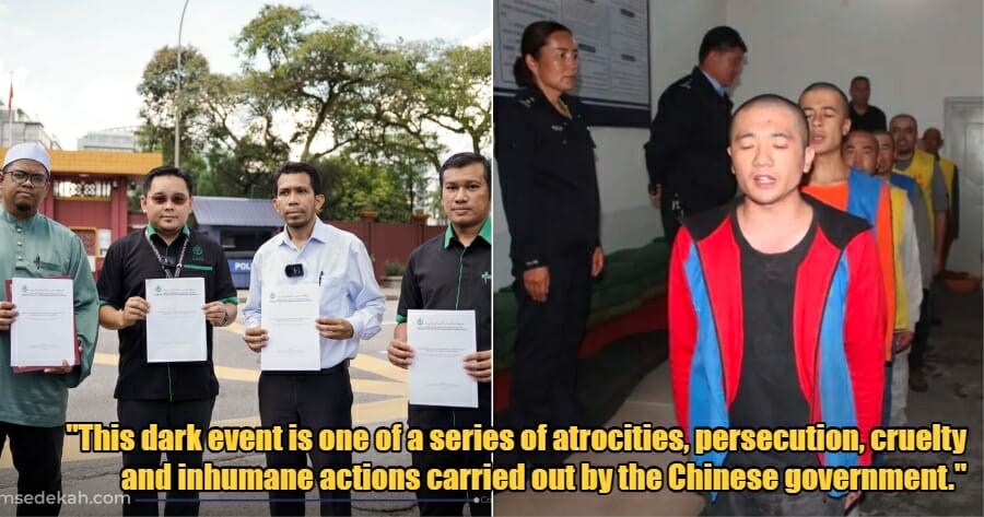 My Post 1 2023 07 12T125720.013