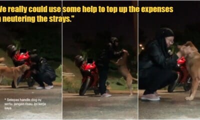 My Post 1 2023 07 18T170503.778