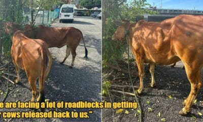 My Post 1 2023 07 27T173802.174