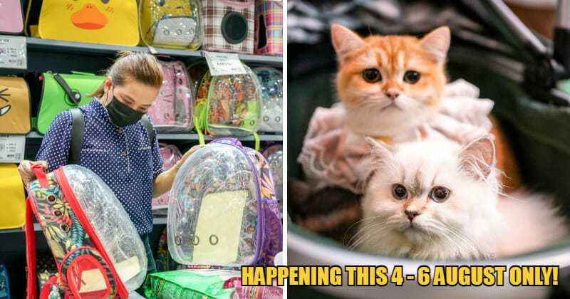 WOB EkspoKucing feat 1