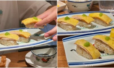 chicken rice sushi guangzhou