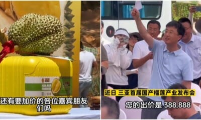 expensive durian china