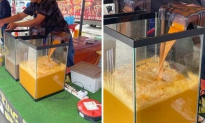 feat image air balang aquarium