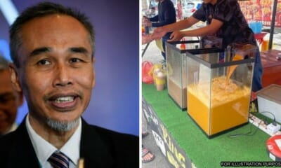 feat image balang aquarium