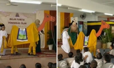 feat image camel cosplay