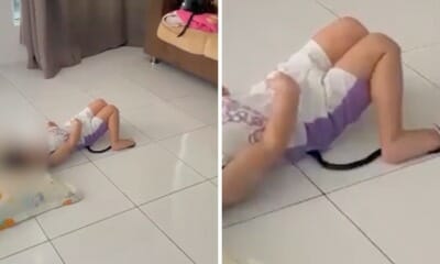 feat image snek perak