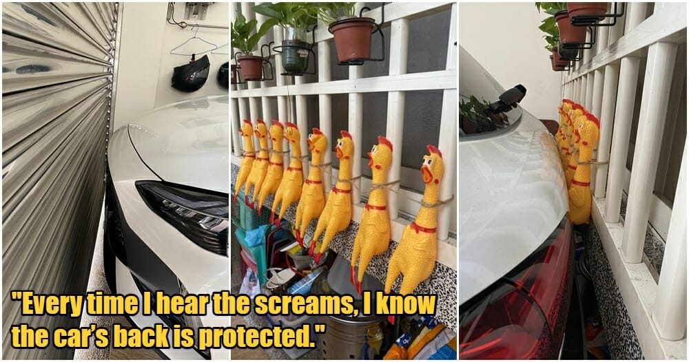 reverse parking plastic chicken 1