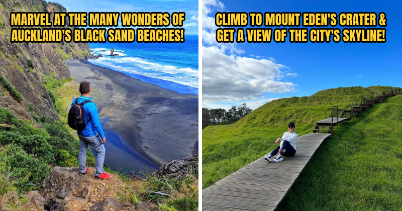 AIRASIA AUCKLAND FEATURE