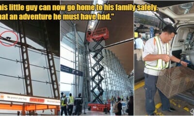 My Post 1 2023 08 02T102834.126