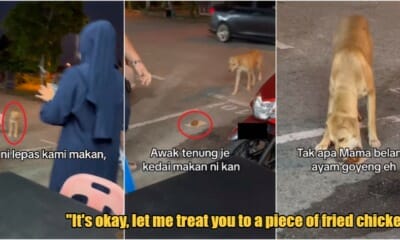 My Post 1 2023 08 03T161325.924