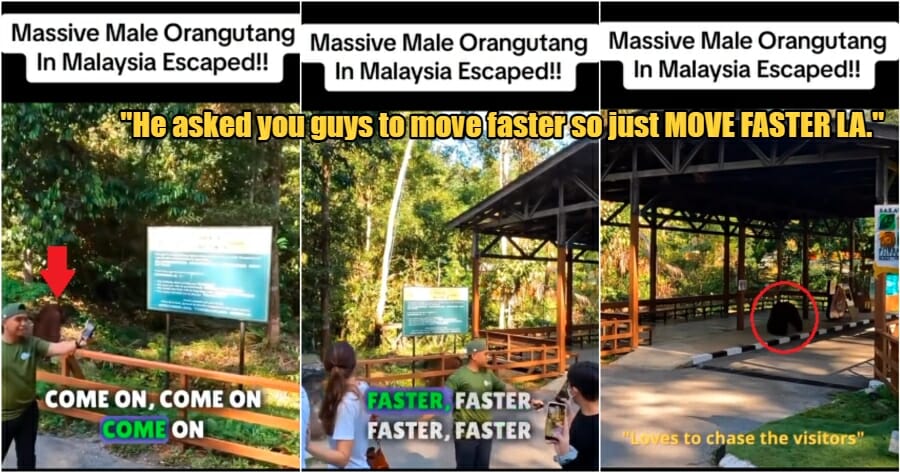 My Post 1 2023 08 14T172439.536