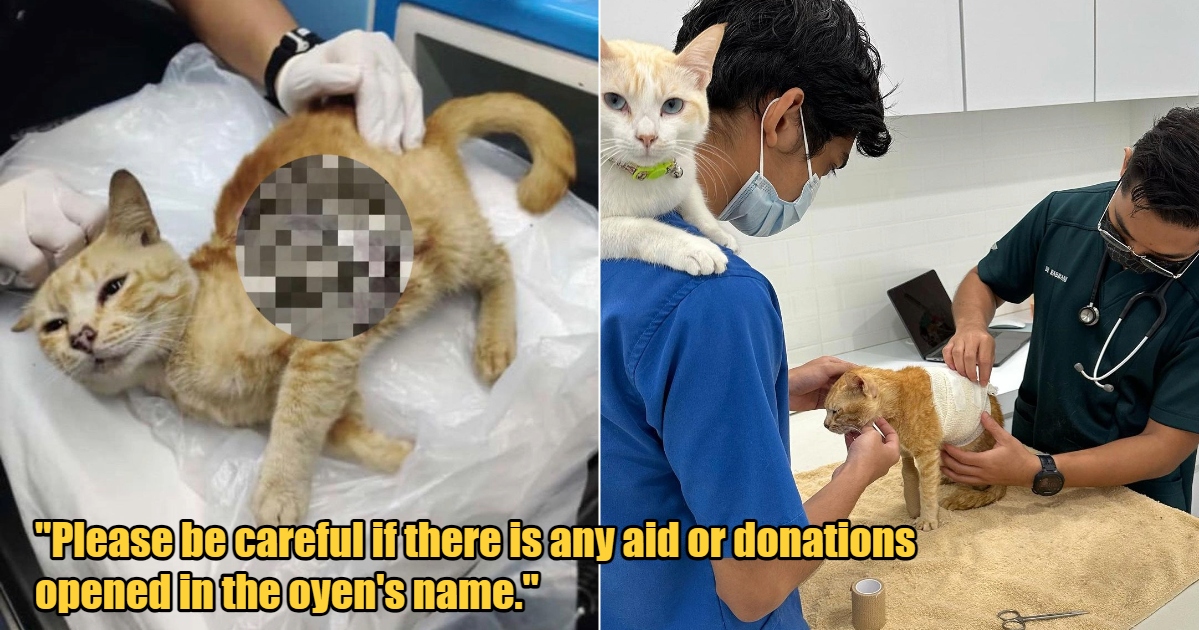 My Post 1 2023 08 22T101128.674