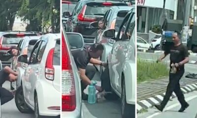 feat image abang polis save kitten