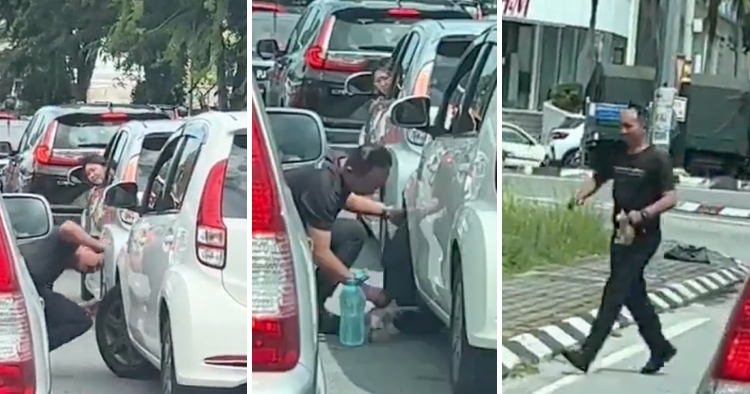 feat image abang polis save kitten