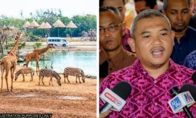 feat image open concept safari park