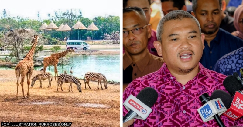 feat image open concept safari park