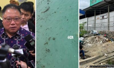 feat image semporna reprimanded