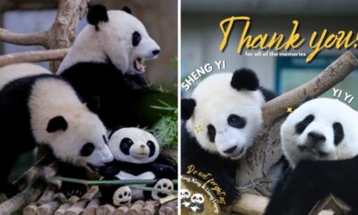 feat image yi yi sheng yi