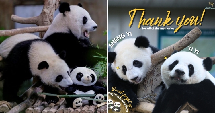 feat image yi yi sheng yi