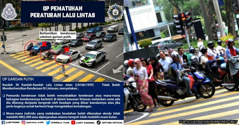 feat image zebra crossing saman