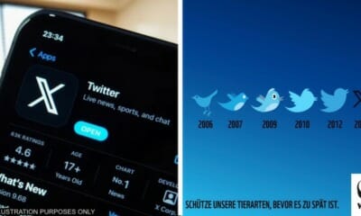 feat imge wwf x logo