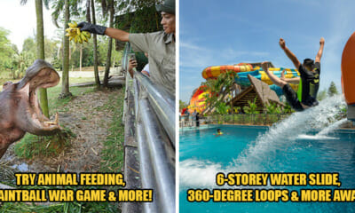 Gamuda Cove Feat Image 2 1