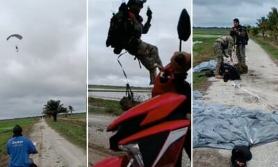 feat image paddy field land