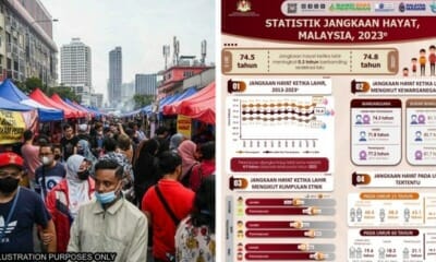 feat image statistics life expectancy