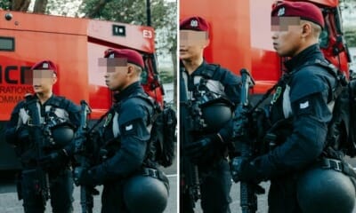 feat image thicc spf