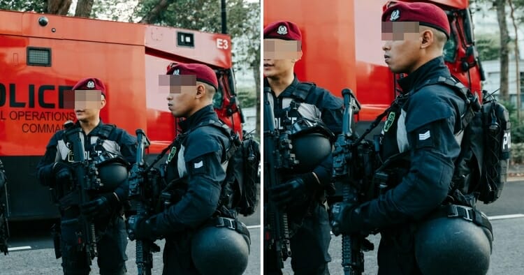 feat image thicc spf