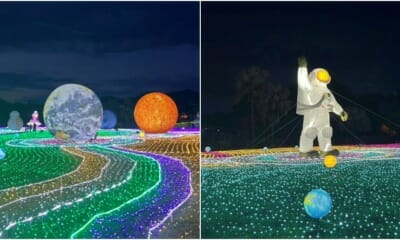 luna lights wonderland ft