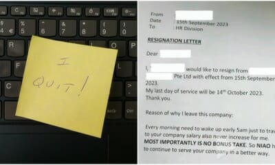 resignation letter in singlish