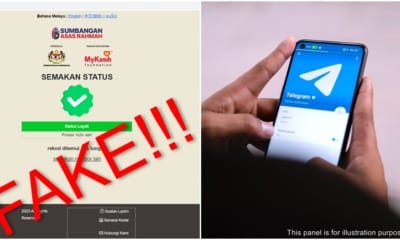 scam site impersonate govt