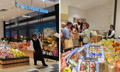 AAA template Recovered 1