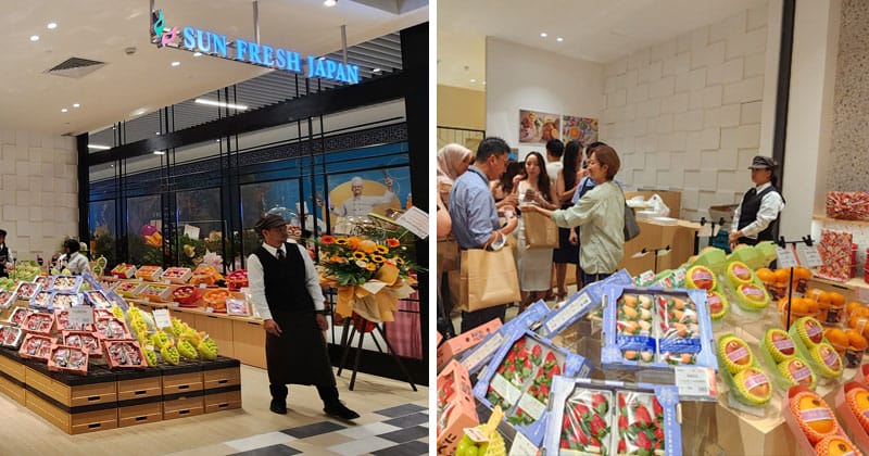 AAA template Recovered 1