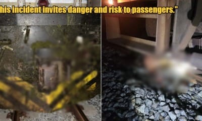 My Post 1 2023 11 03T133409.722