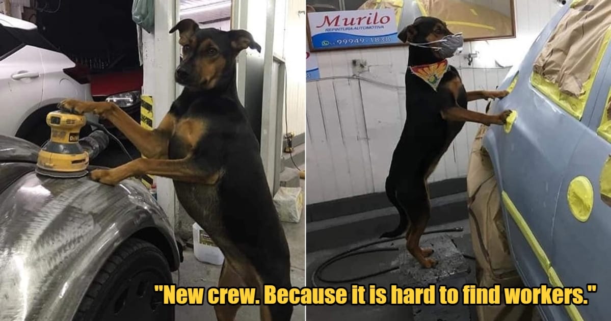 My Post 1 2023 11 14T133128.978 1