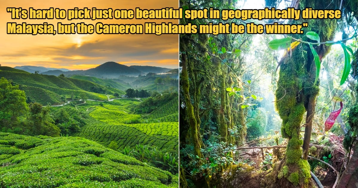 My Post 1 2023 11 14T161528.477