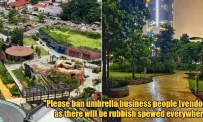 My Post 1 2023 11 15T100925.134