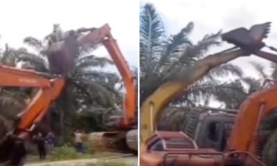 feat image excavator fight