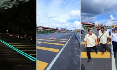 feat image glow in the dark