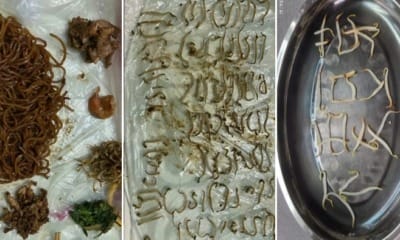 feat image no taugeh pls