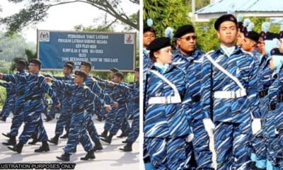 feat image plkn 3 clarified