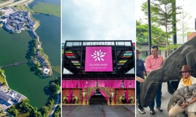 feat image silverlakes