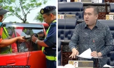 feat image tint windows