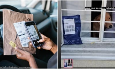 receive parcel doggo