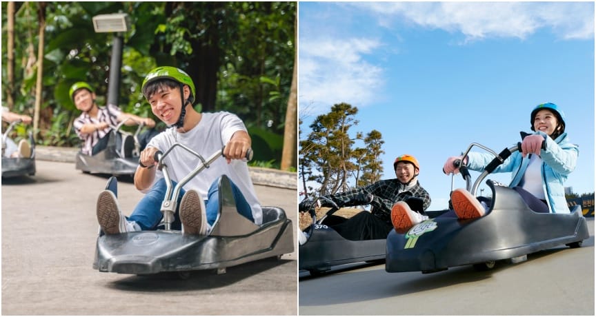 skyline luge ft